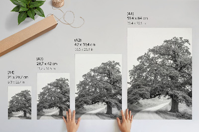 Poster decorativo Árvore monumental, paisagem pacífica se espalha