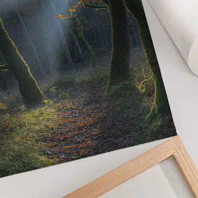 Impressão em tela floresta mágica com luz de outono e atmosfera pacífica