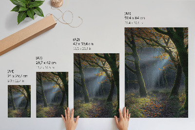 Impressão em tela floresta mágica, luz de outono, atmosfera pacífica