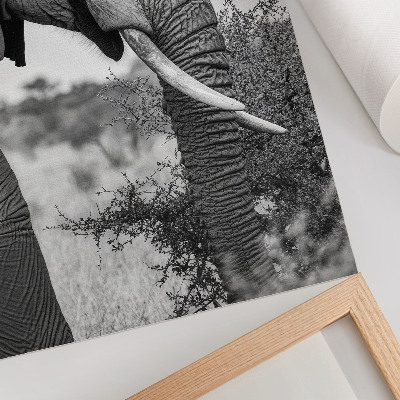 Impressão em tela Elefante em close-up: beleza natural e harmonia de texturas.