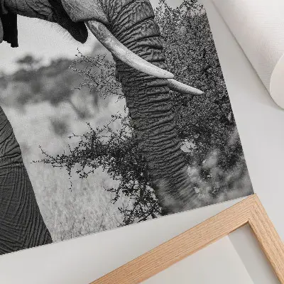 Impressão em tela elefante em close-up com foco em beleza natural e texturas harmônicas