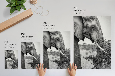 Impressão em tela Elefante em close-up: beleza natural e harmonia de texturas.