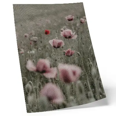Arte de parede papoulas em tons pastel com atmosfera romântica e flores delicadas