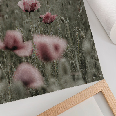 Arte de parede Papoulas em tons pastel, atmosfera romântica, flores delicadas.