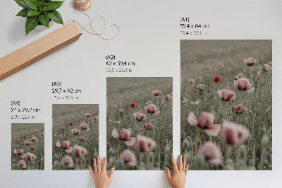 Arte de parede Papoulas em tons pastel, atmosfera romântica, flores delicadas.