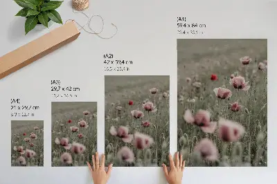 Arte de parede papoulas em tons pastel com atmosfera romântica e flores delicadas