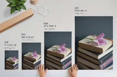 Poster para cozinha Uma pilha de livros com uma flor delicada no topo.