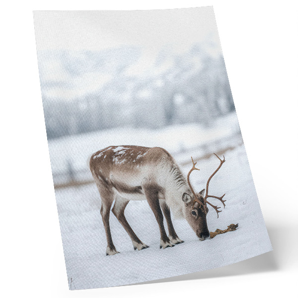 Poster decorativo Renas na neve, natureza, paz, elegância