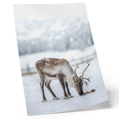 Poster decorativo Renas na neve, natureza, paz, elegância