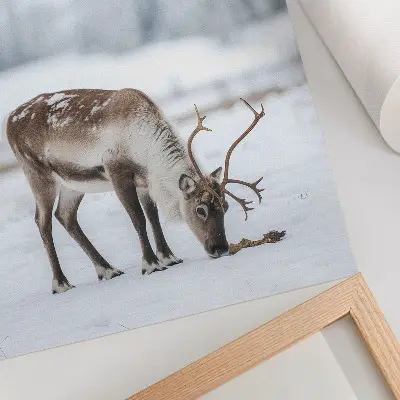 Poster decorativo renas na neve com tema de natureza, paz e elegância