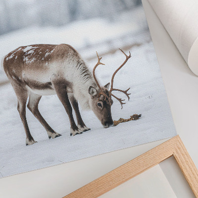 Poster decorativo Renas na neve, natureza, paz, elegância