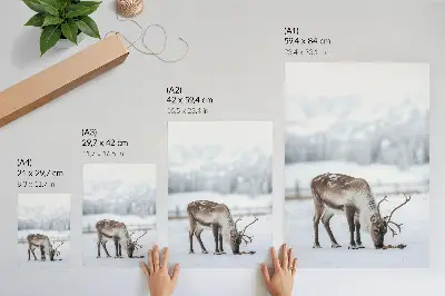 Poster decorativo renas na neve com tema de natureza, paz e elegância