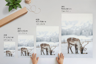 Poster decorativo Renas na neve, natureza, paz, elegância