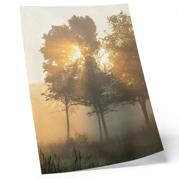 Poster decorativo aurora enevoada com luz quente e árvores inspiradoras
