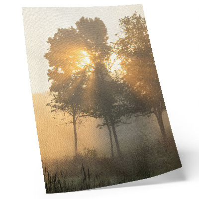 Poster decorativo Aurora enevoada, luz quente, árvores inspiradoras