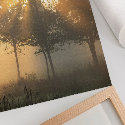 Poster decorativo Aurora enevoada, luz quente, árvores inspiradoras