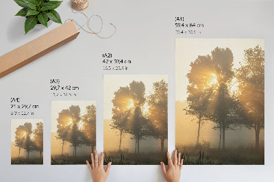 Poster decorativo Aurora enevoada, luz quente, árvores inspiradoras