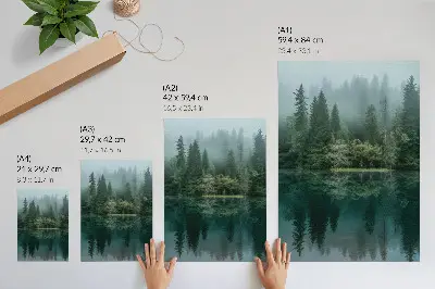 Poster para cozinha o reflexo impressionante da névoa na água nas profundezas da floresta verde