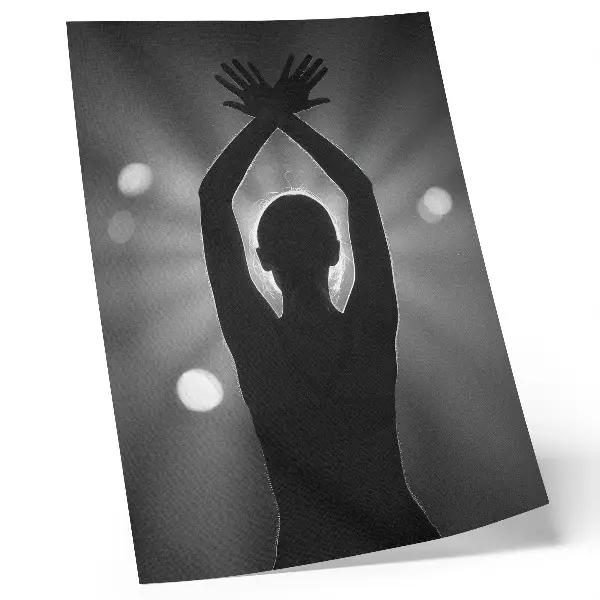 Poster decorativo silhueta marcante contra os raios de luz