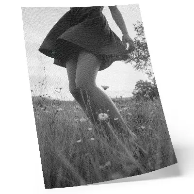 Impressão em tela fotografia de um prado em preto e branco com harmonia e paz