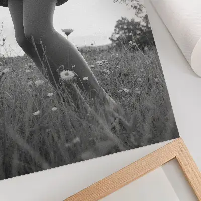 Impressão em tela fotografia de um prado em preto e branco com harmonia e paz