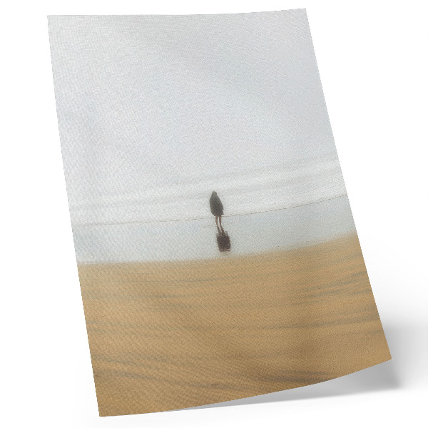 Impressão em tela Minimalismo, paz, solidão, praia, reflexão, água