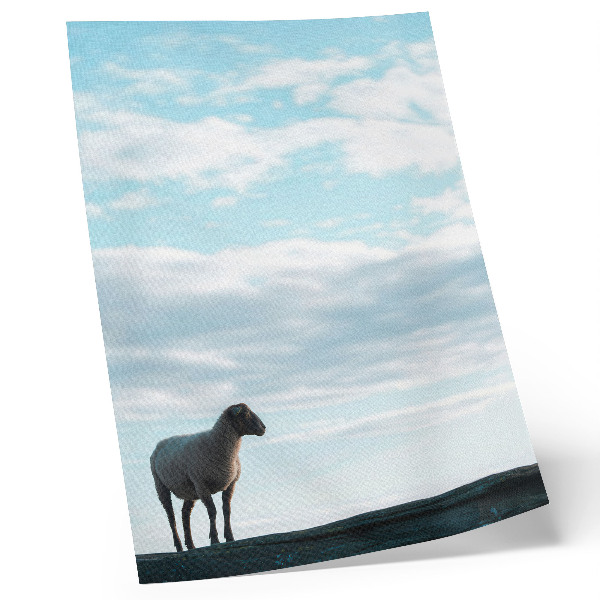 Poster decorativo Céu, nuvens, ovelhas, silêncio profundo, paz