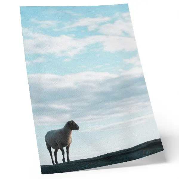 Poster decorativo com estampa de céu, nuvens, ovelhas e silêncio profundo
