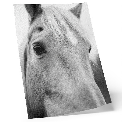 Arte de parede Elegância em preto e branco do olho de cavalo