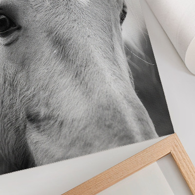 Arte de parede Elegância em preto e branco do olho de cavalo