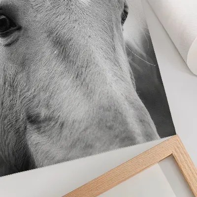 Arte de parede olho de cavalo em preto e branco com elegância