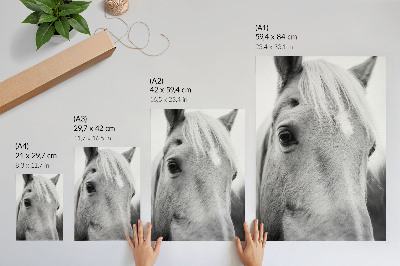 Arte de parede Elegância em preto e branco do olho de cavalo