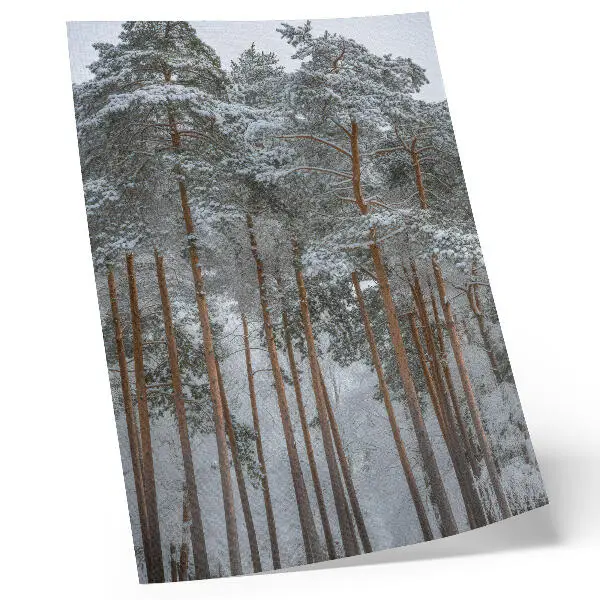 Arte de parede floresta de inverno com árvores nevadas transmitindo paz e harmonia