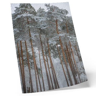 Arte de parede Floresta de inverno, árvores nevadas, paz, harmonia, natureza