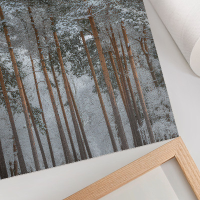 Arte de parede Floresta de inverno, árvores nevadas, paz, harmonia, natureza