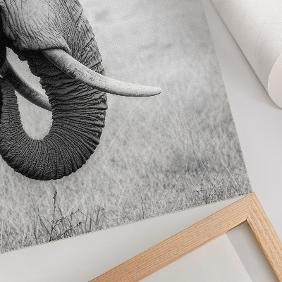 Poster decorativo Retrato de um elefante em preto e branco
