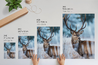 Poster decorativo A beleza da natureza, a paisagem de inverno, os majestosos veados.