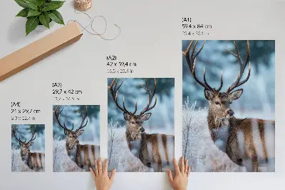 Poster decorativo de paisagem de inverno com veados majestosos