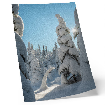 Arte de parede Árvores cobertas de neve, céu azul, sol