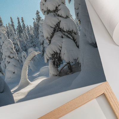 Arte de parede Árvores cobertas de neve, céu azul, sol
