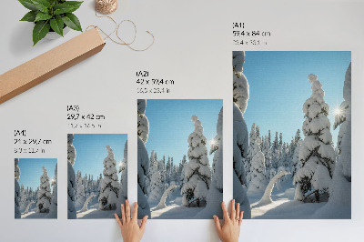 Arte de parede Árvores cobertas de neve, céu azul, sol
