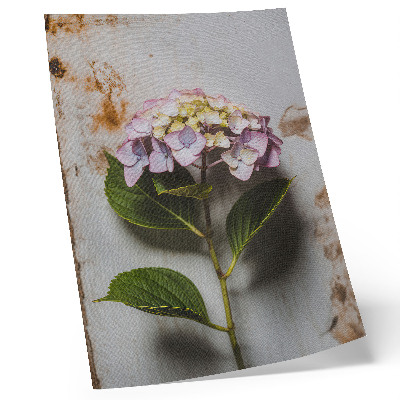 Poster decorativo Fundo rústico com folhas verdes de hortênsia rosa