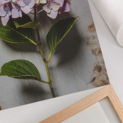 Poster decorativo Fundo rústico com folhas verdes de hortênsia rosa