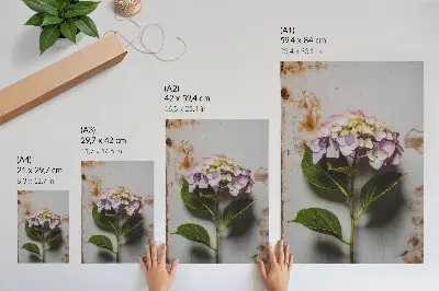 Poster decorativo com fundo rústico e folhas verdes de hortênsia rosa