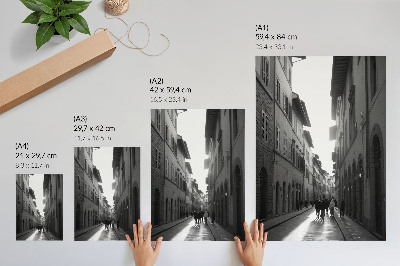 Poster decorativo O charme monocromático de uma rua histórica.