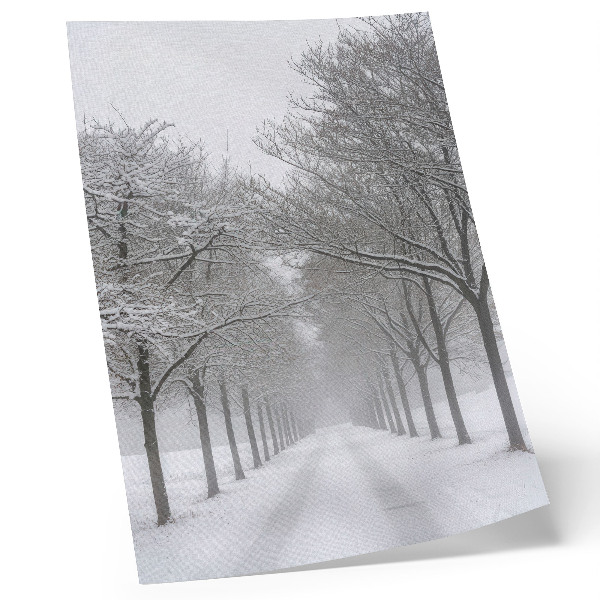 Impressão em tela Avenida simétrica de árvores de inverno, neve e neblina.