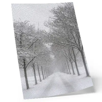 Impressão em tela avenida simétrica de árvores de inverno com neve e neblina