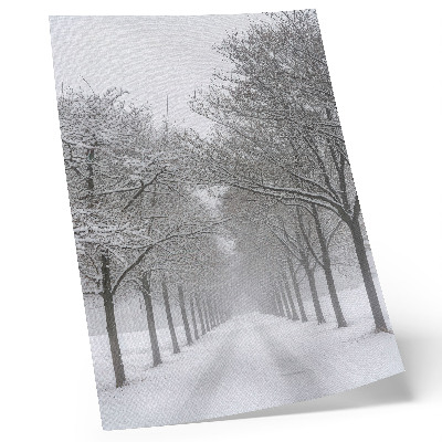 Impressão em tela Avenida simétrica de árvores de inverno, neve e neblina.