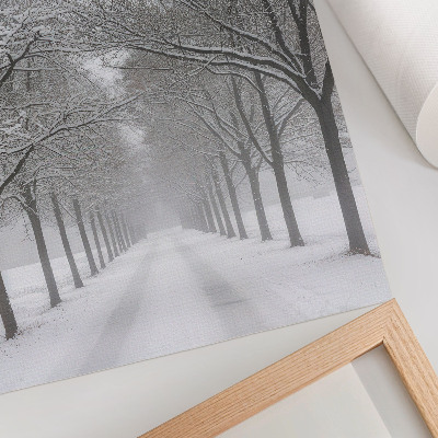 Impressão em tela Avenida simétrica de árvores de inverno, neve e neblina.