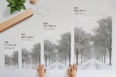 Impressão em tela Avenida simétrica de árvores de inverno, neve e neblina.